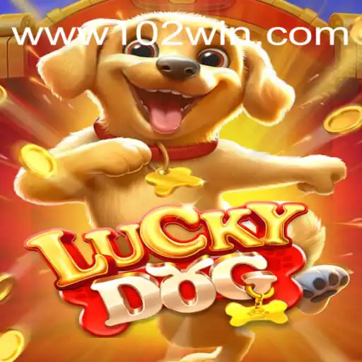 Descubra LuckyDog: O Jogo de Cartas Inovador e Empolgante do Momento